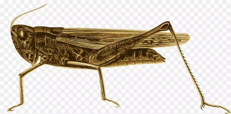 ���������¶��ͼƬpngͼƬ.����-������