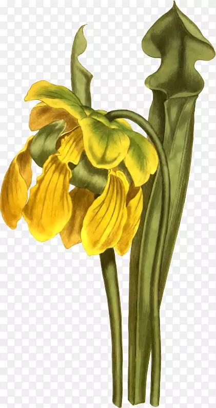 ������¶̨pngͼƬͼƬ��.��ɫ��������nm-������