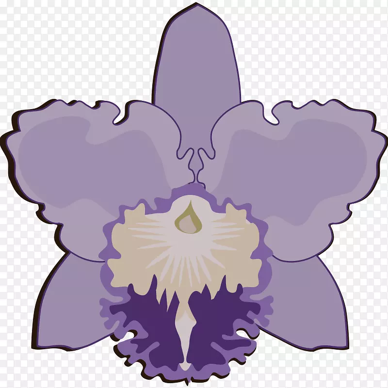 �������ɶ���������ֲ��-������