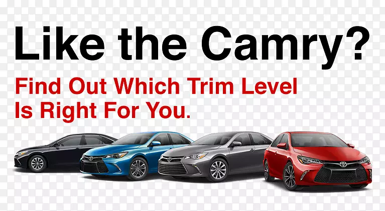 С���������������������VIP������γ�-������