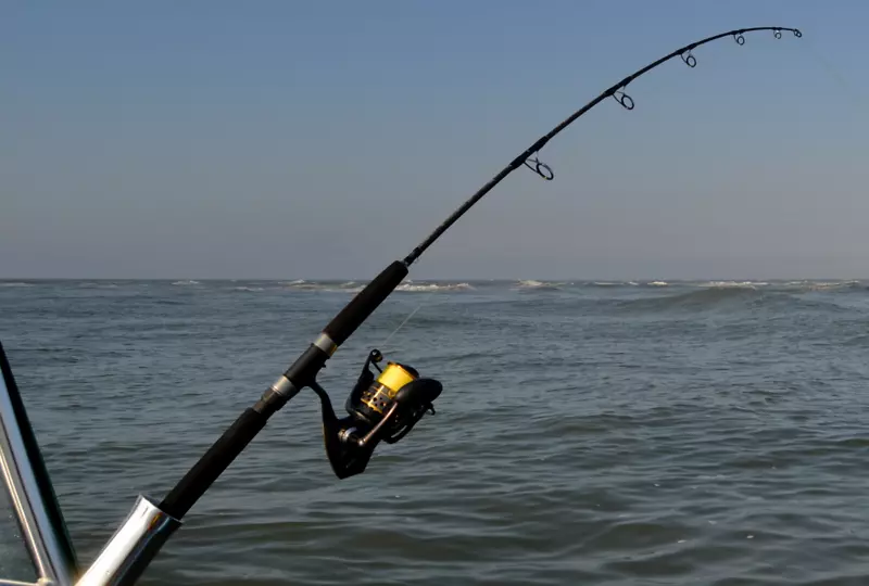 ��������������������-������