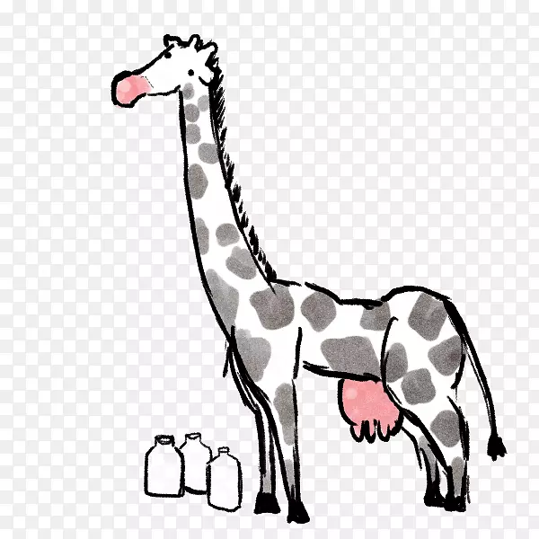 �����������ﾱ��-������