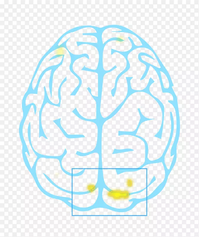 ˫��¼���͸���������ѧ.������ѧ-������