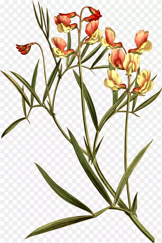 ������¶�첿��ͼ��pngͼƬ��ͼ.��ɬ-������