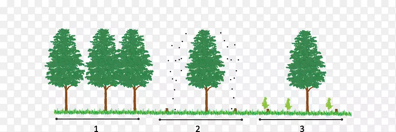 ������������Ҷ��-������