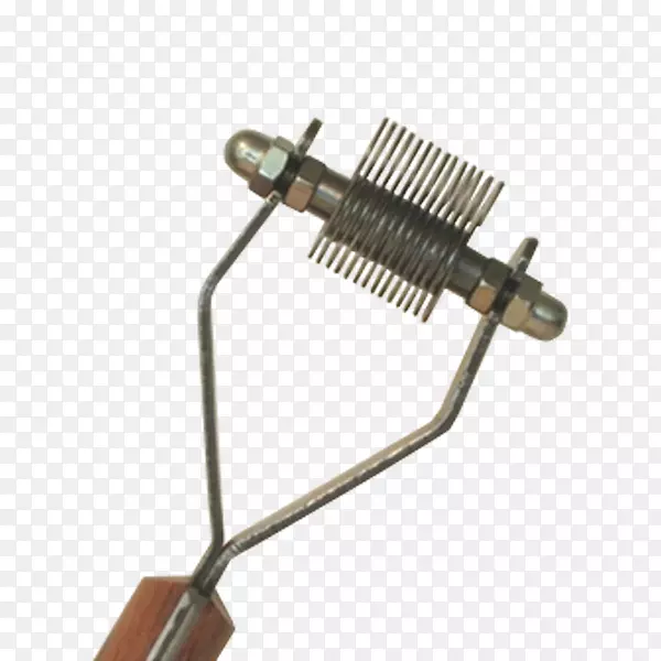 ���������Ȯ���Ĵ�����kelpedachshund airedaleС��Ȯ-������