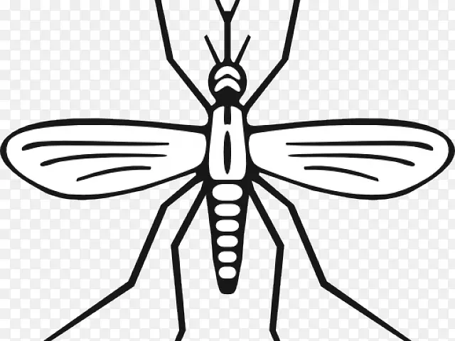 �滭����������ͼ��������������-������