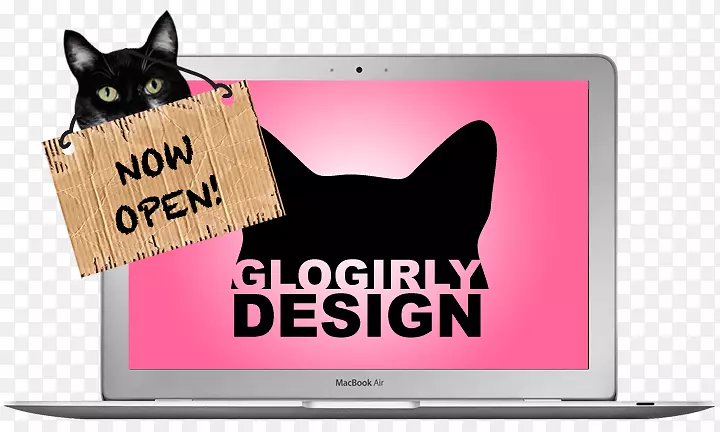 ����è���ӹ��-ʢ��Ļ��Ʒ-������