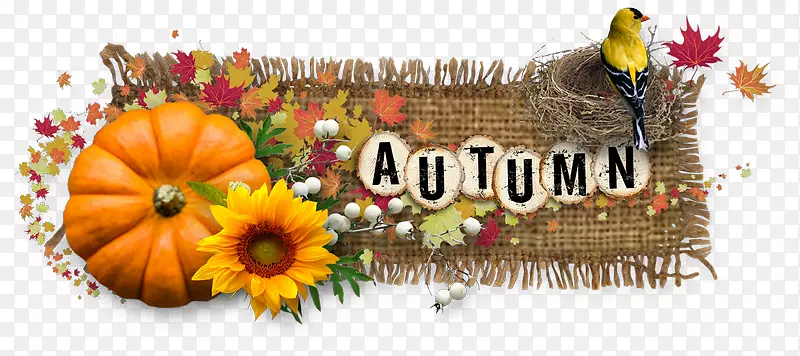 èͼƬch?vi?t�����ı�-ף��������֣����Ƕ�����ʾ��л��-������