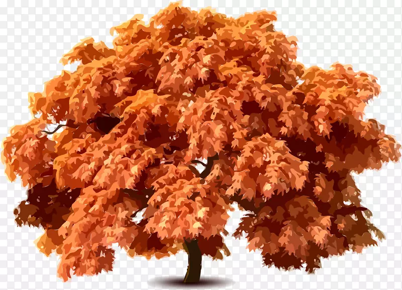 pngͼƬ��������ͼ������ͼ��-������