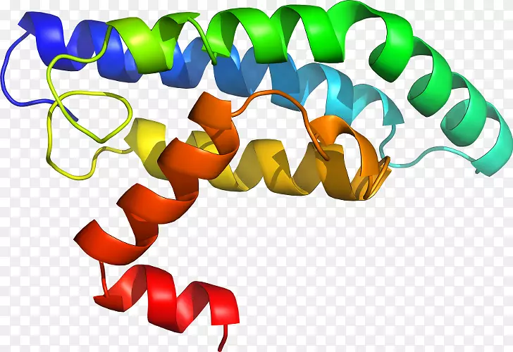 �������߲�Ʒ��ɫS.A����ת¼ø-������