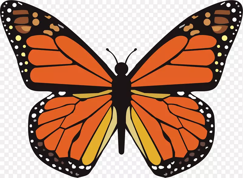 ������������Ǩ����������-������