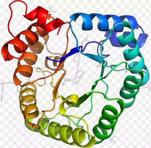 �������л�����������-������