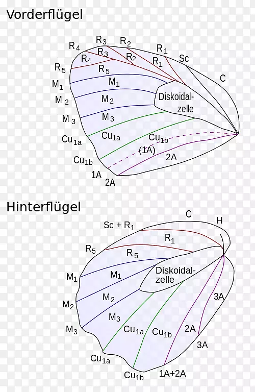 ���������ë��Ӽ-����-������