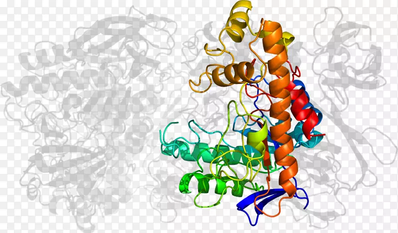 �廭����ʥ��װ��Ʒʥ����-������