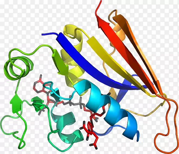 �����������ζ���-������