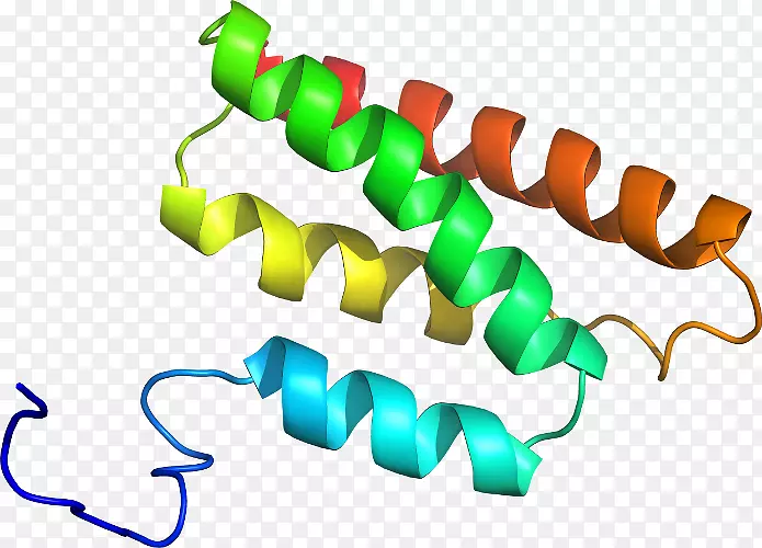 ��������Ʒ�����-������