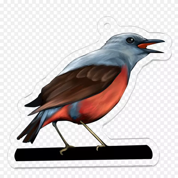 ๶����ͼ��ë-������