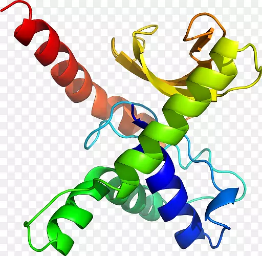 �������л����߶���-apo-������