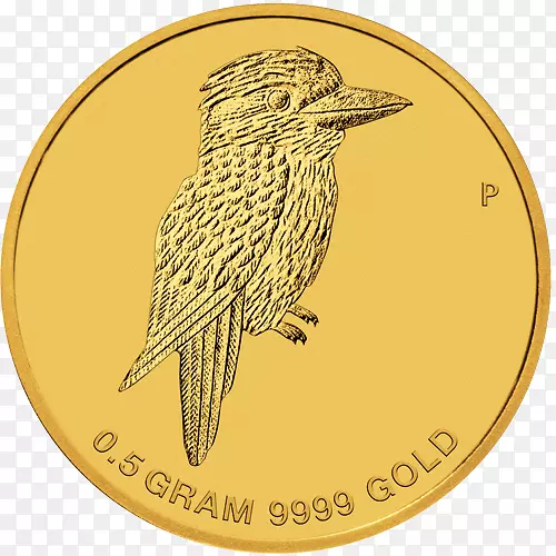 ��˹���ɽ�ҰĴ��������⿨����Ӳ��-������