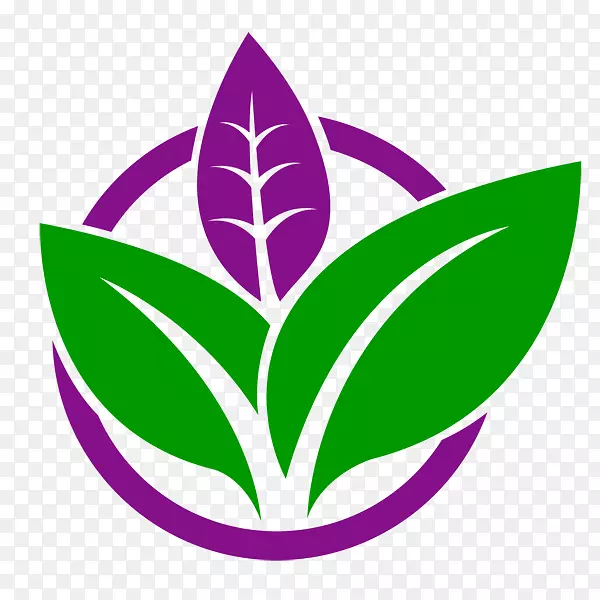 ֥���Ѽ���·��˹ά��-������