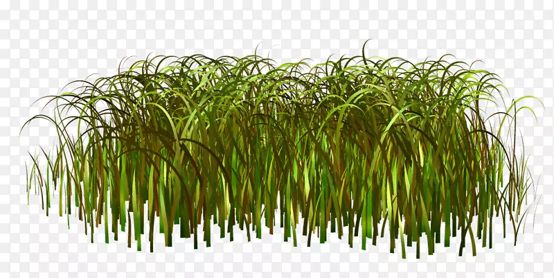 pngͼƬ�ݱ�ֲ�ﻨ��ͼ�������-������