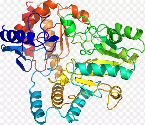 �������л�����������-�Ȱ���-5-��ȩ-������