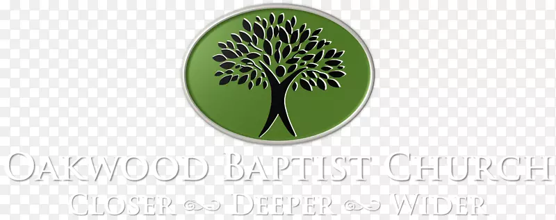 ��־Ʒ�Ʋ�Ʒ�������-������