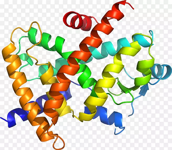 �����������鱦����-������