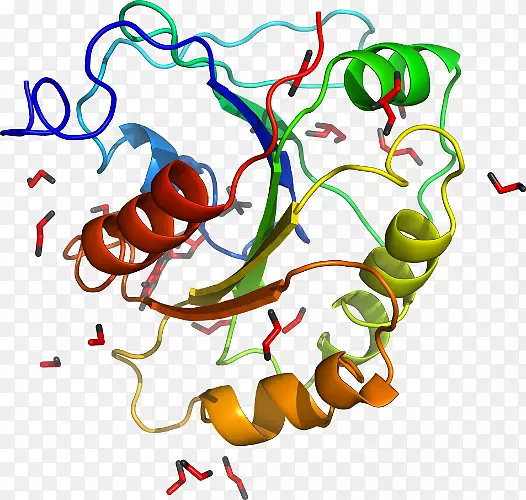 �������߲�������-�߲�-������