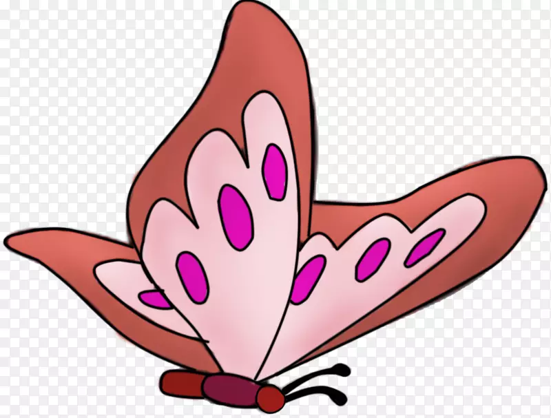 �ռ�����������������������޽�ͷ�����Ұ߱�-������