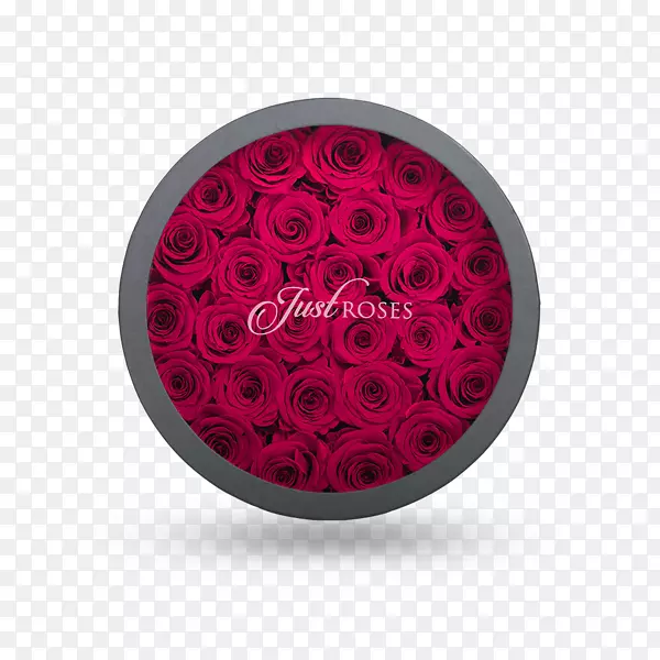 ���ﰮ��Ů������õ������-������