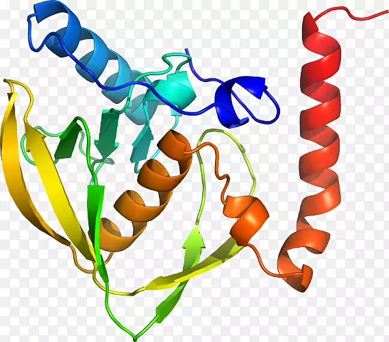 �������߶���-������