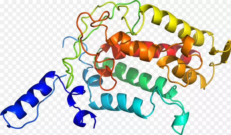 �������л�����������-������