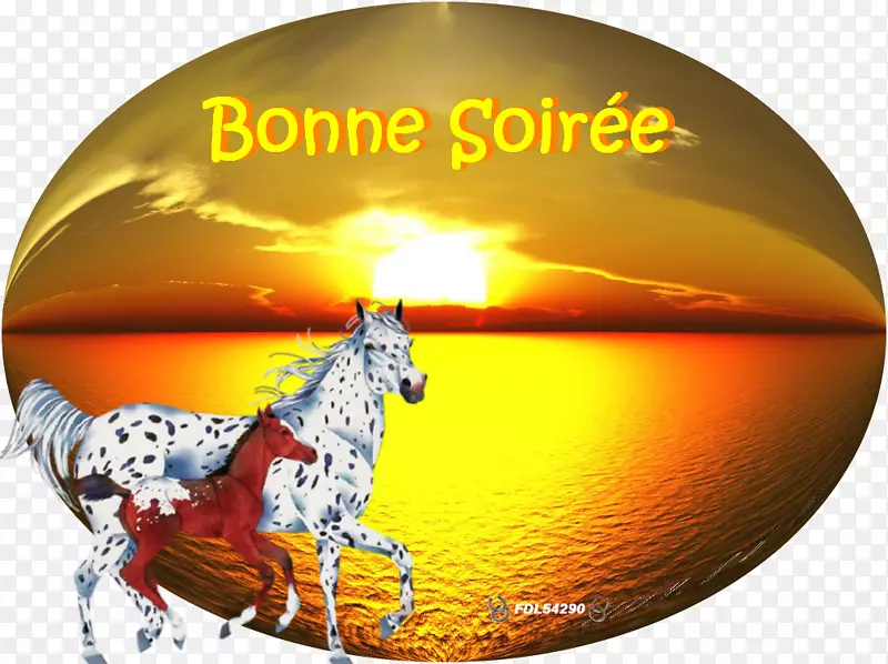 �������ֽͼ�ε���-��-������