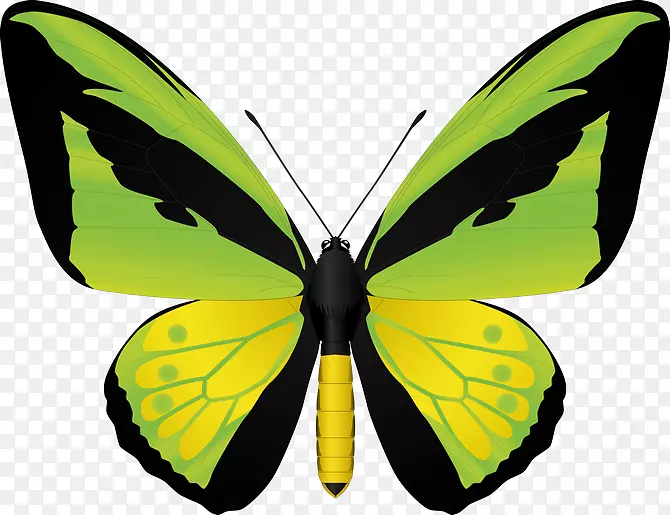 ���������β��ͼƬ-����-������