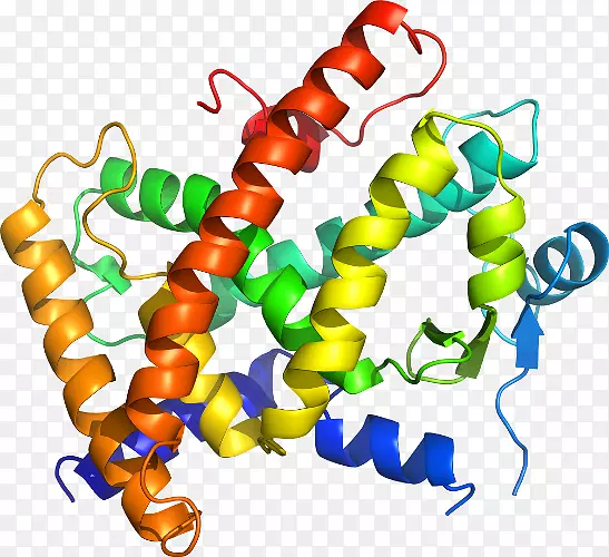 ��������.��������ø����ֳ�Ｄ�������-������