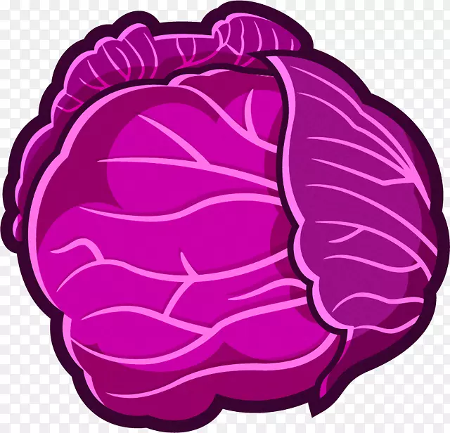 �߲˺�ײ˻����ع���-������