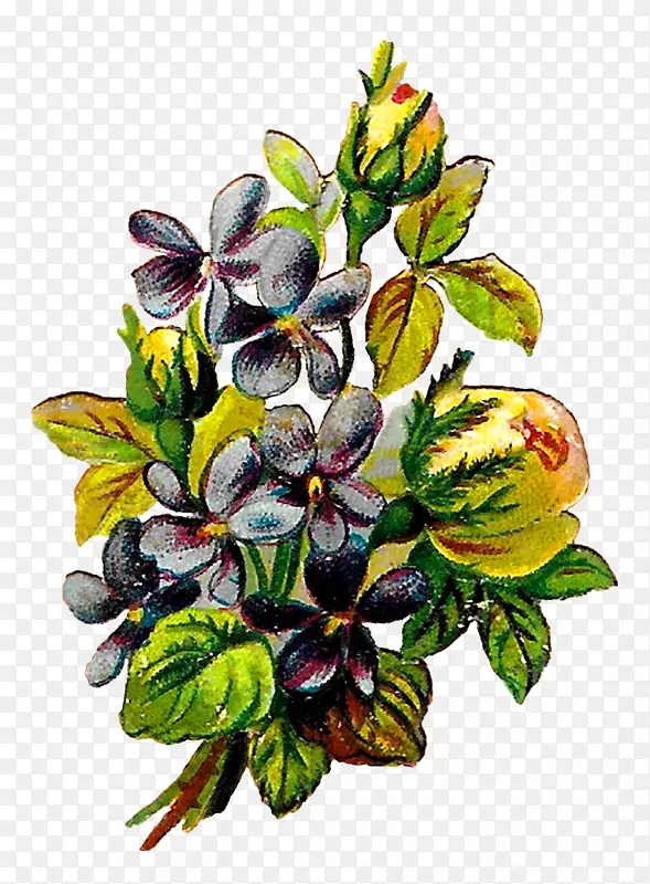 ������ƻ����������廨-������