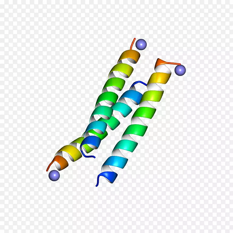 �߼�������������.��-������