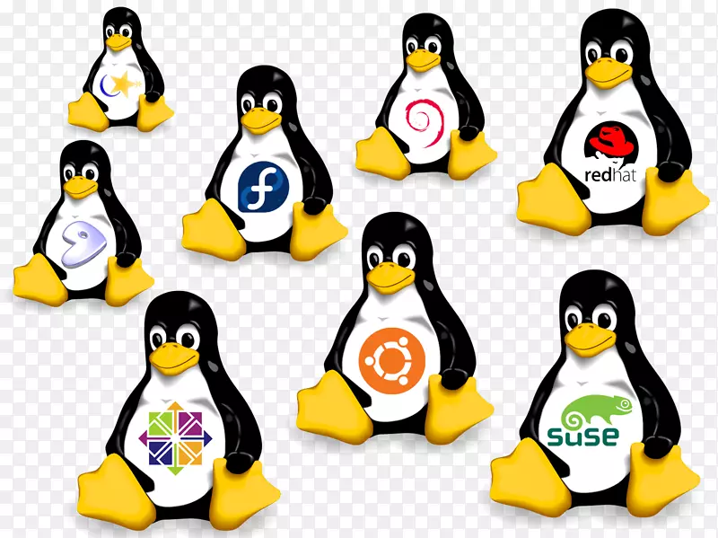 suse linux���а����ϵͳubuntu-linux-������