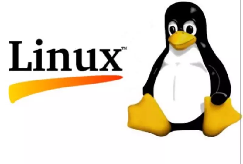 linux��ͷ��ʼ��ѵlxc����ϵͳ-linux-������