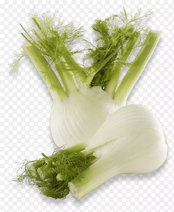 �����߲ˣ�ŷ�۸�������-������