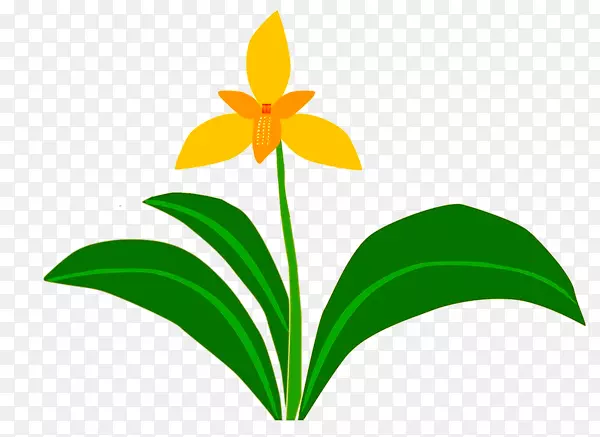 ����ֲ������-������