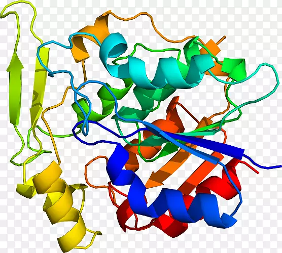 �������߲�Ʒ���л�����-������