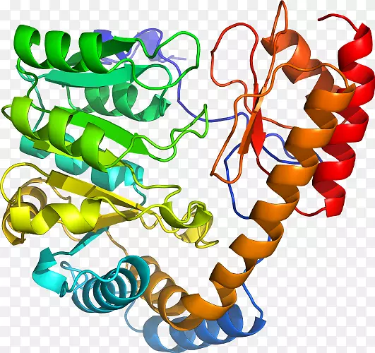 �������л�����������-������