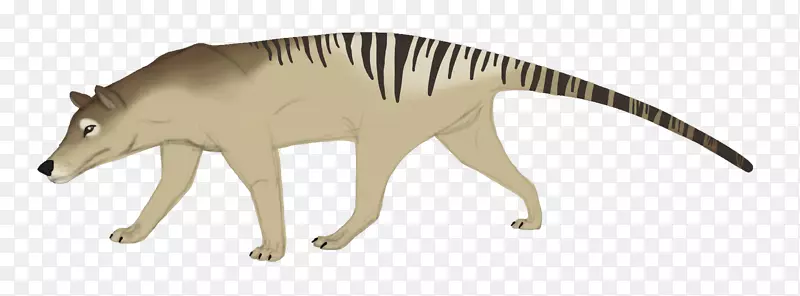 ���Ȯ-������˹�����Ƕ���-������