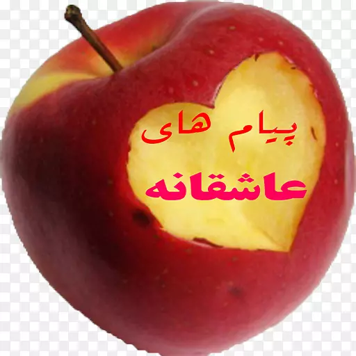 �л�ʳƷʳ�ý�������-����-������