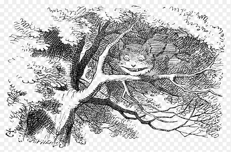 ��è����˿���ɾ��廭�е�ð��-������