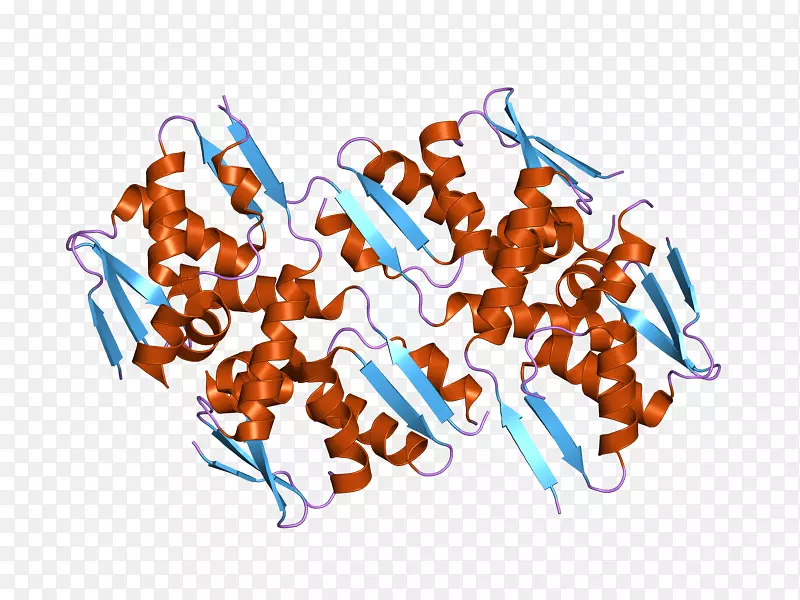 �����������߳�ɫS.A��-������